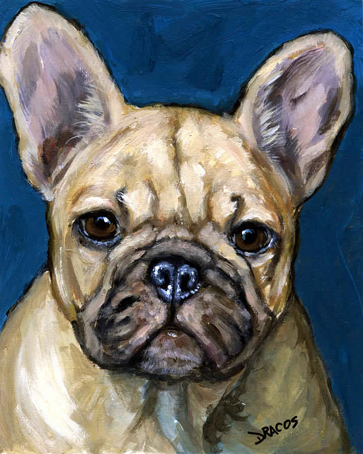 Dog Painting - French bulldog on Teal by Dottie Dracos
