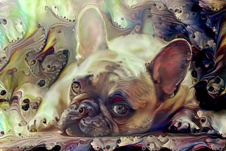 Abstract Digital Art - French Bulldog Puppy by Peggy Collins