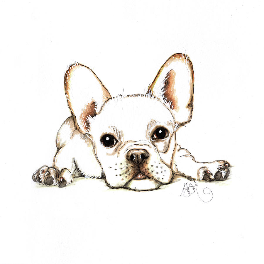 French Bulldog Drawing by Sally Huntington Pixels