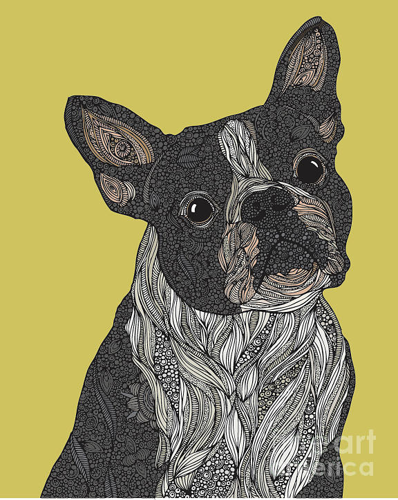 French Bulldog Digital Art by MGL Meiklejohn Graphics Licensing