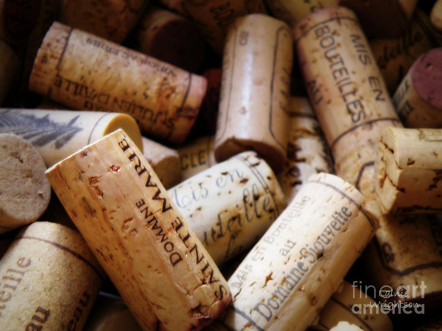 French Corks Photograph by Lainie Wrightson