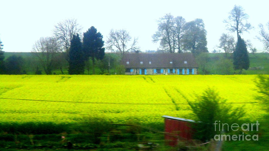 French Countryside 1 Photograph by Randall Weidner