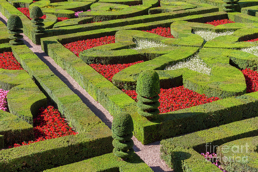 French Garden in Formal Patterns  Photograph by Heiko Koehrer-Wagner