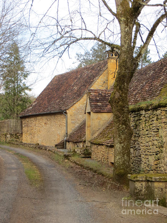 French Homes In A Small Village Photograph By Lorita Montgomery - Fine 