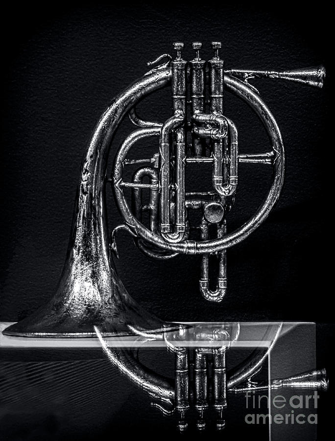 French Horn Beyond a Glass Table Photograph by James Aiken
