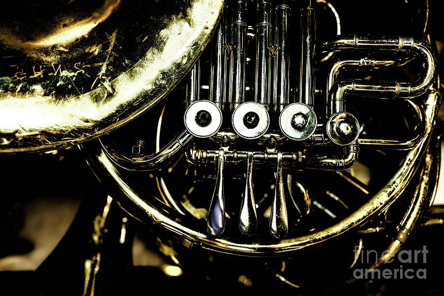 French Horn Photograph by M G Whittingham