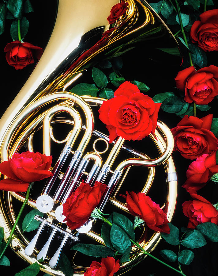 French Horn With Red Roses Photograph by Garry Gay