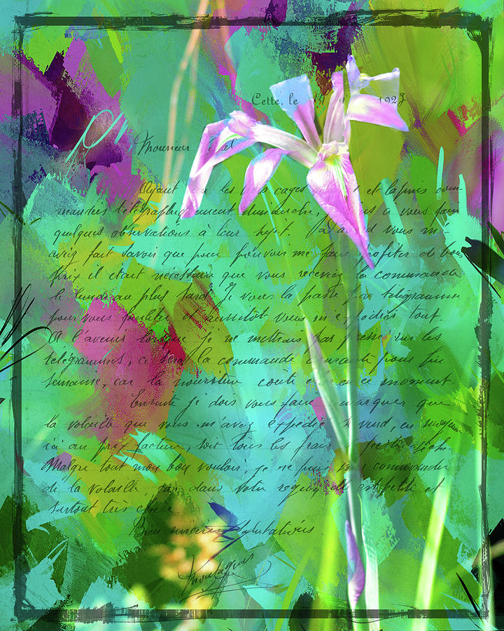 French Impressionist Iris Photograph by Carla Parris