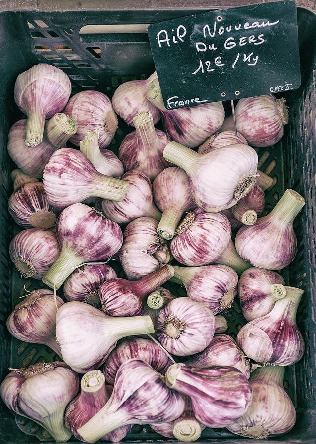 French Market Finds - Garlic Photograph by Georgia Clare