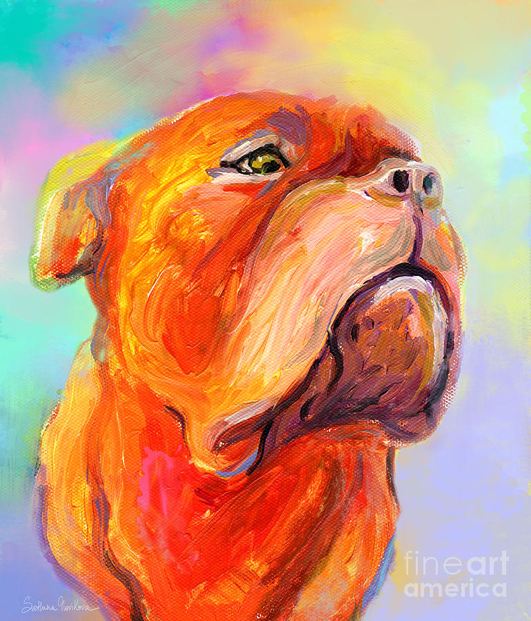 French Mastiff Bordeaux dog painting print Painting by Svetlana Novikova