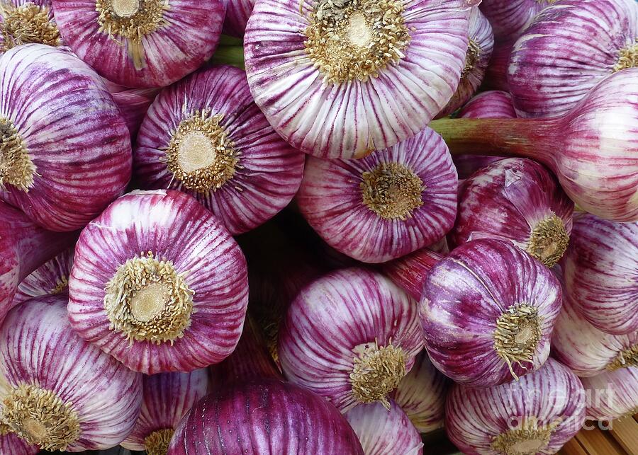 French Onions Photograph by Barbie Corbett-Newmin