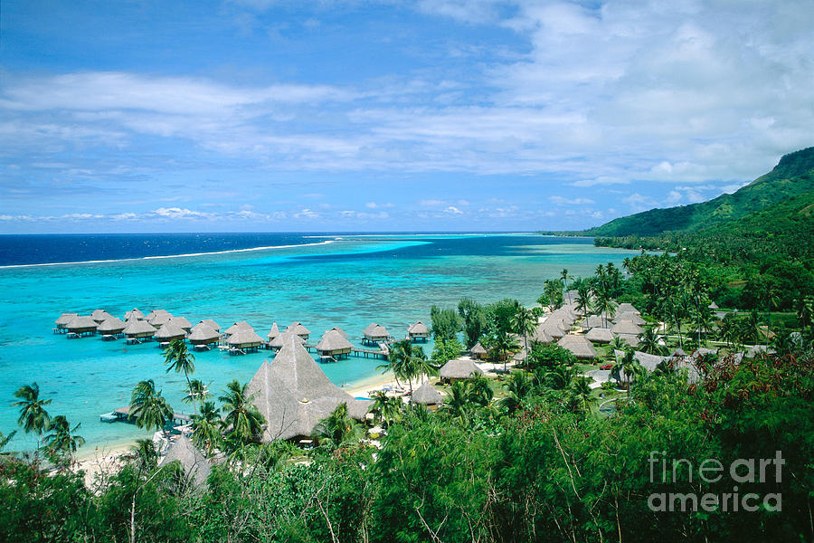 French Polynesia, Moorea Photograph by Kyle Rothenborg - Printscapes