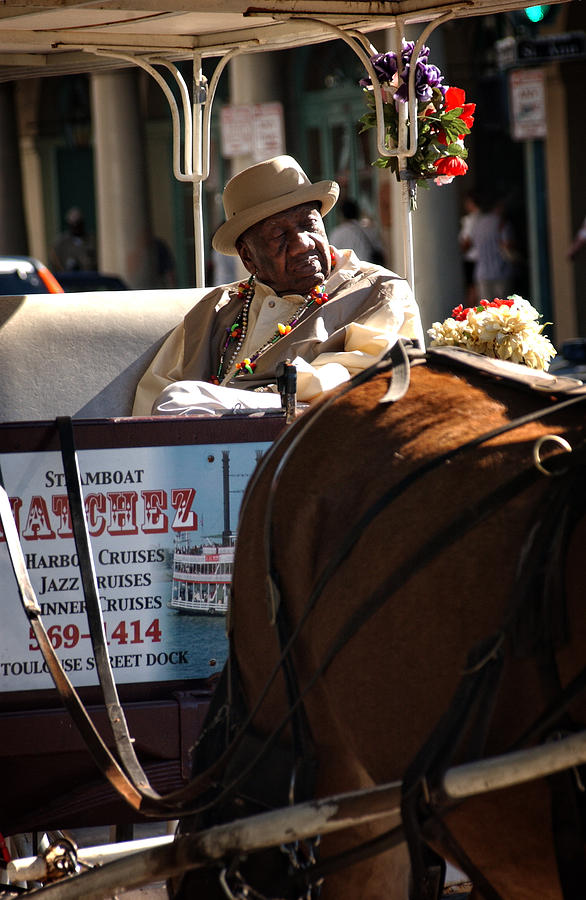French Quarter Carriage Photograph by Greg and Chrystal Mimbs
