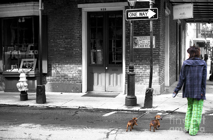 French Quarter Dog Walking Fusion in New Orleans Photograph by John Rizzuto