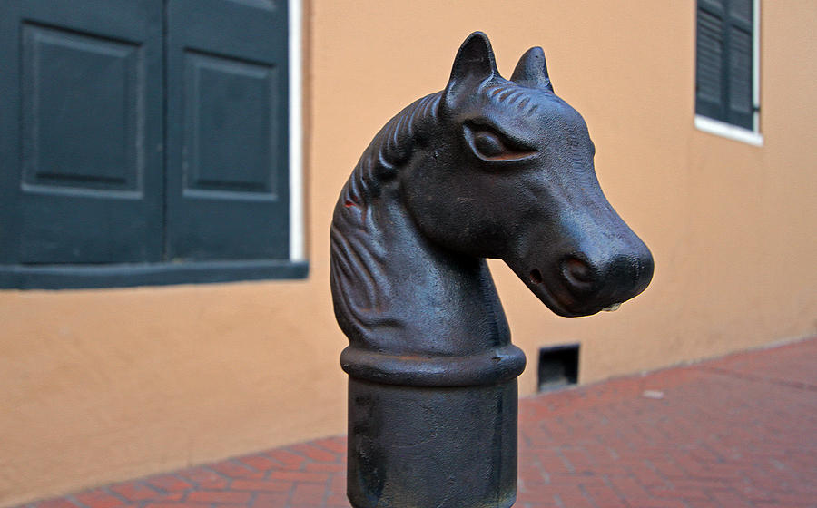 French Quarter Horse Head Hitching Post Photograph by Juergen Roth