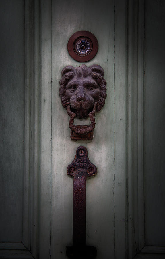 New Orleans Photograph - French Quarter Lion by Greg and Chrystal Mimbs