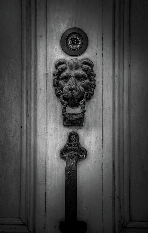 French Quarter Lion In Black and White Photograph by Greg and Chrystal Mimbs