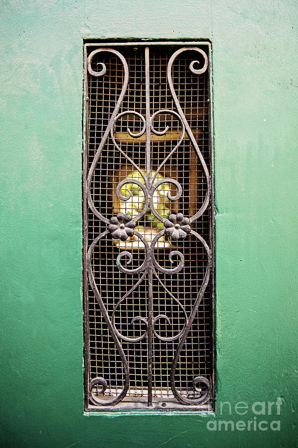 French Quarter Window to the Courtyard Photograph by Scott Pellegrin