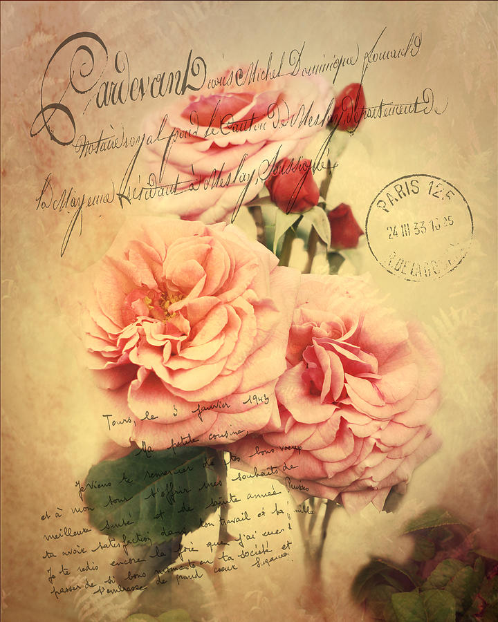 French Rose Bouquet Photograph by TnBackroadsPhotos