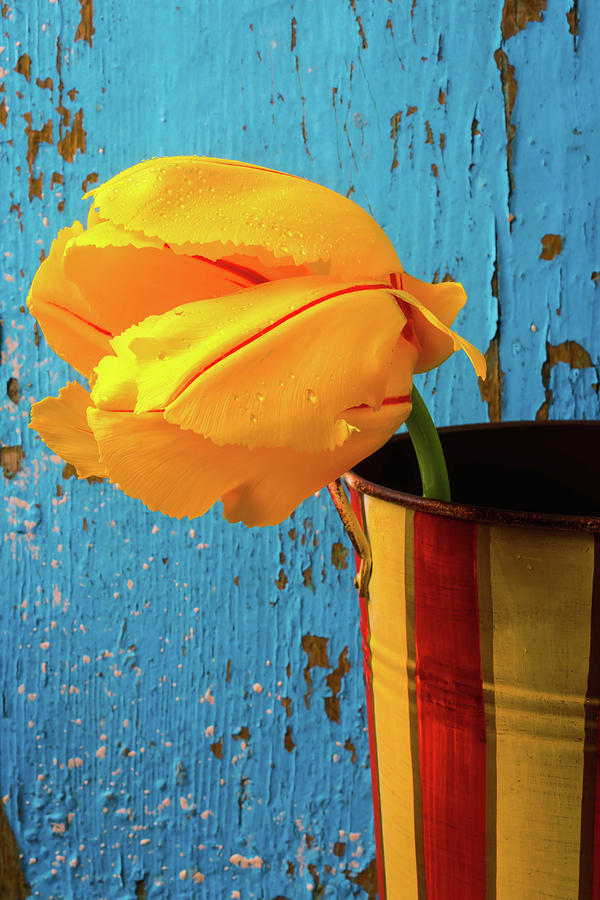 Garden Photograph - French Tulip In Old Vase by Garry Gay