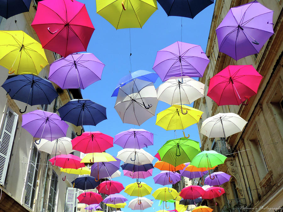 French Umbrellas Pyrography by Paloma Ovesen - Fine Art America