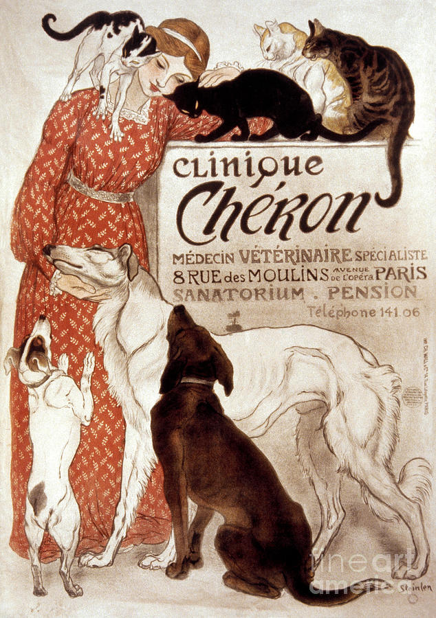 French Veterinary Clinic Drawing by Granger