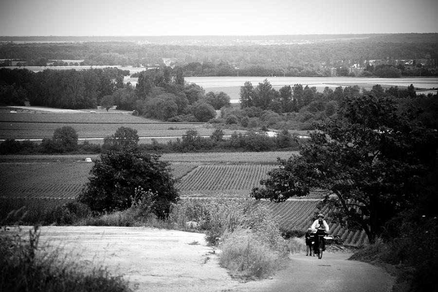 Europe Photograph - French Vineyards by Jason Smith Europe Photograph - French Vineyards by Jason Smith
