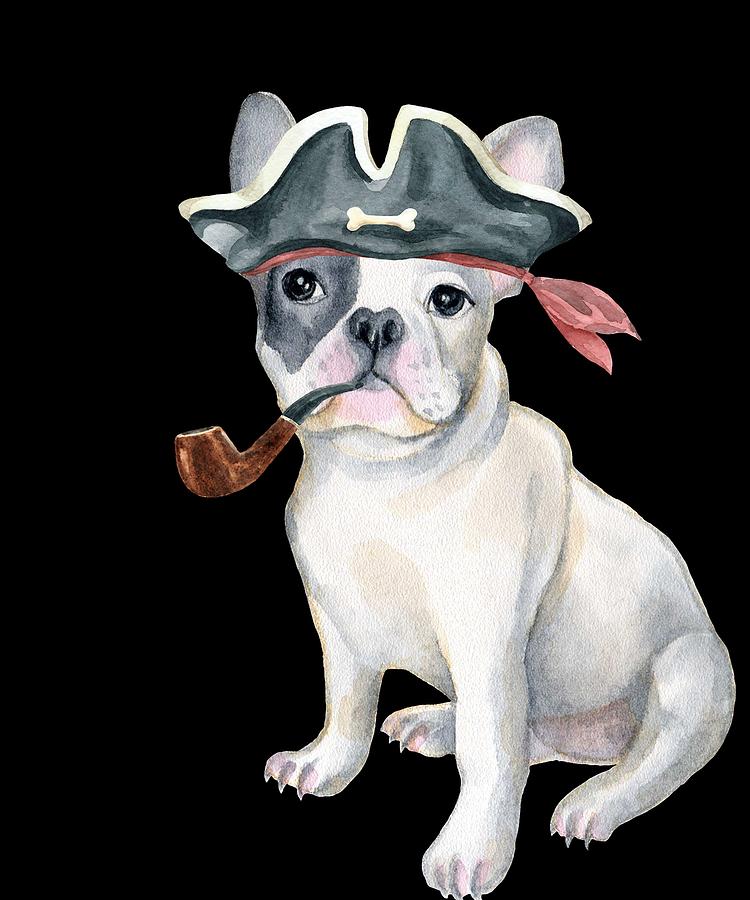 french bulldog pirate costume