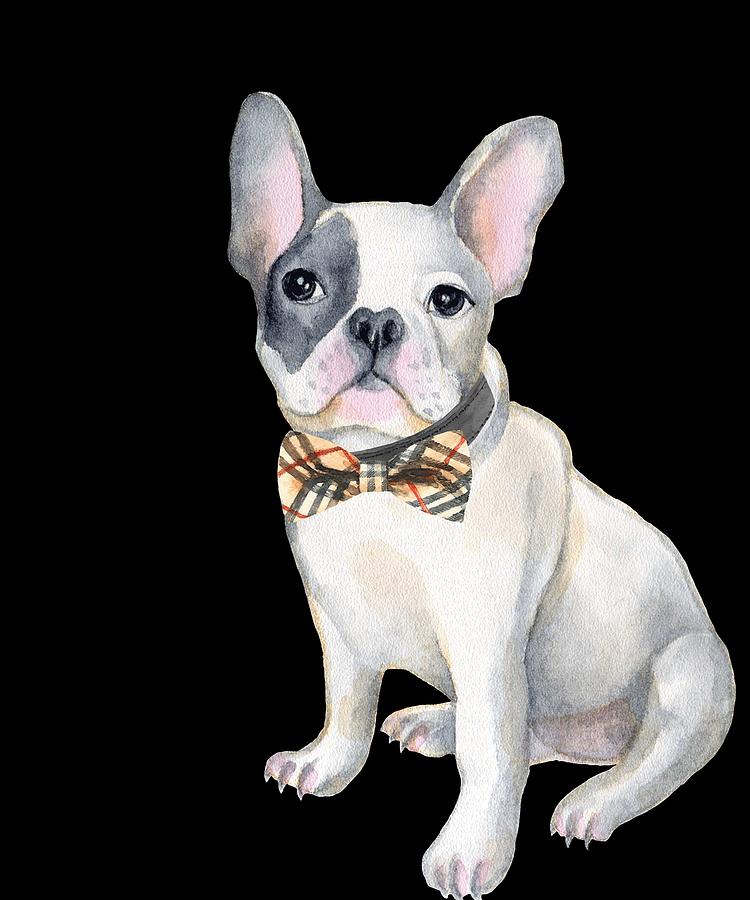 bulldog with bow tie