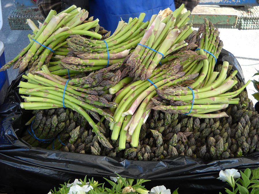 Fresh Asparagus at Farmers Market Photograph by Kent Lorentzen