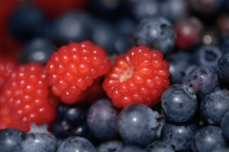 Fresh Berries Photograph by Lori Deiter