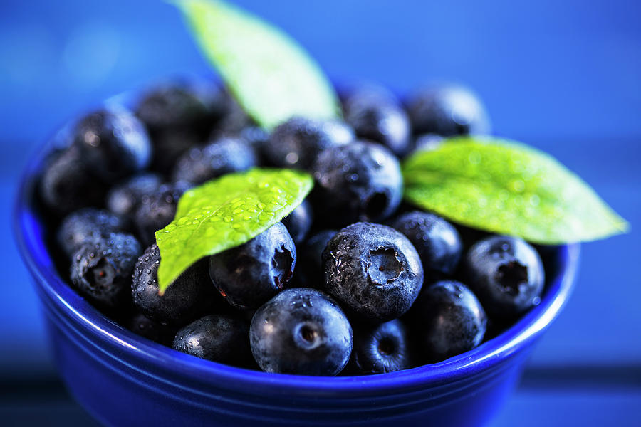 Still Life Photograph - Fresh blueberries in a blue bowl by Vishwanath Bhat