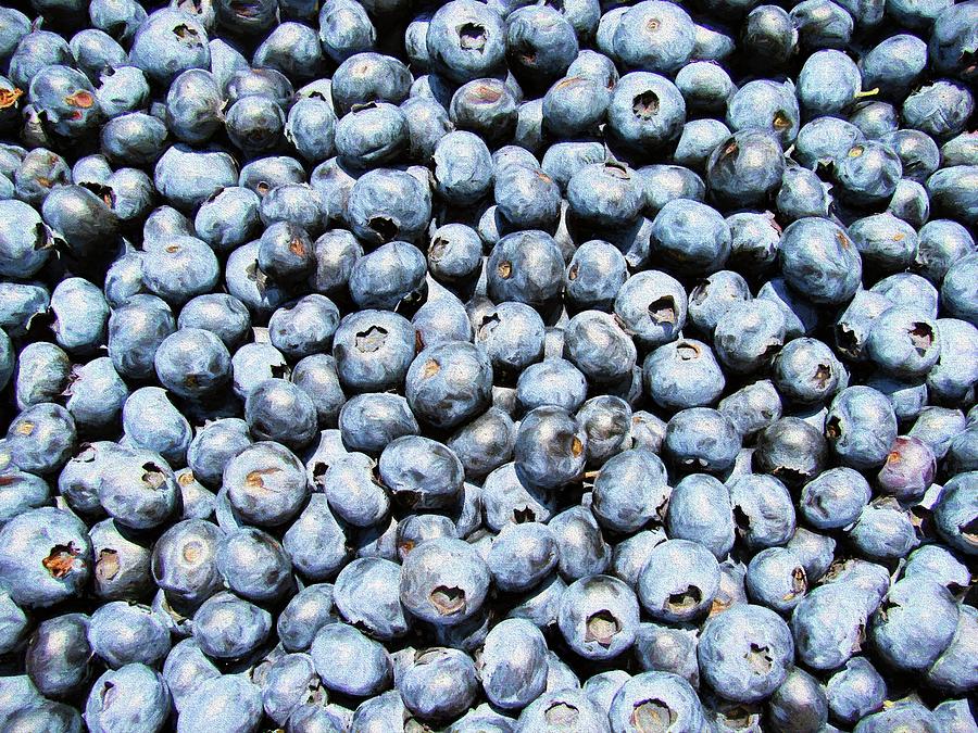 Fresh Blueberries  Photograph by JC Findley