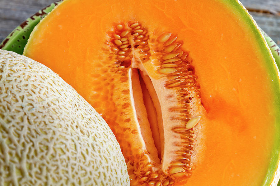 Fresh Cantaloupe Melon Photograph by Teri Virbickis