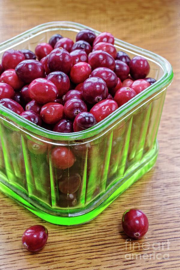 Fresh Cape Cod Cranberries Photograph by Edward Fielding