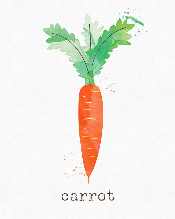 Art For Interior Designers Painting - Fresh Carrot by Linda Woods