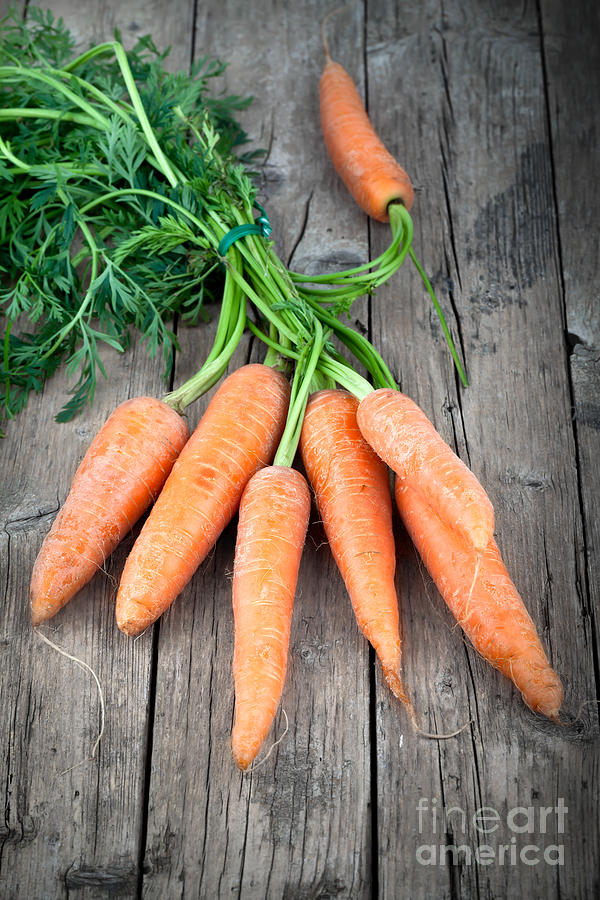 Carrot Photograph - Fresh Carrots by Corina Daniela Obertas