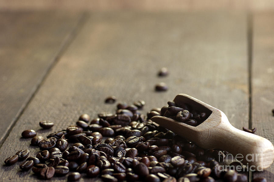 Fresh Coffee Beans For Kitchen Photograph