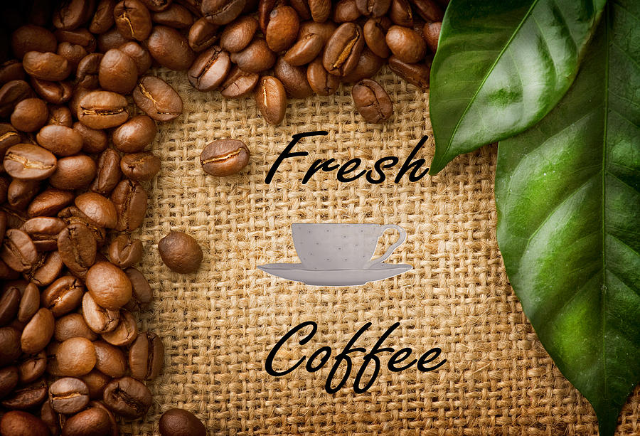Fresh Coffee Photograph by Pat Cook