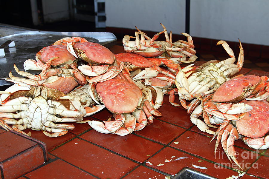Fresh Cooked Crabs At Fishermans Wharf San Francisco California 7D14459 Photograph by San Francisco