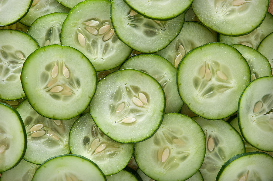 Fresh Cucumbers Photograph