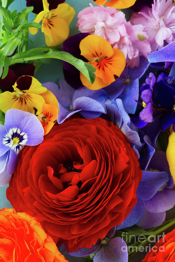 Flower Photograph - Fresh Cut Flowers Background by Anastasy Yarmolovich