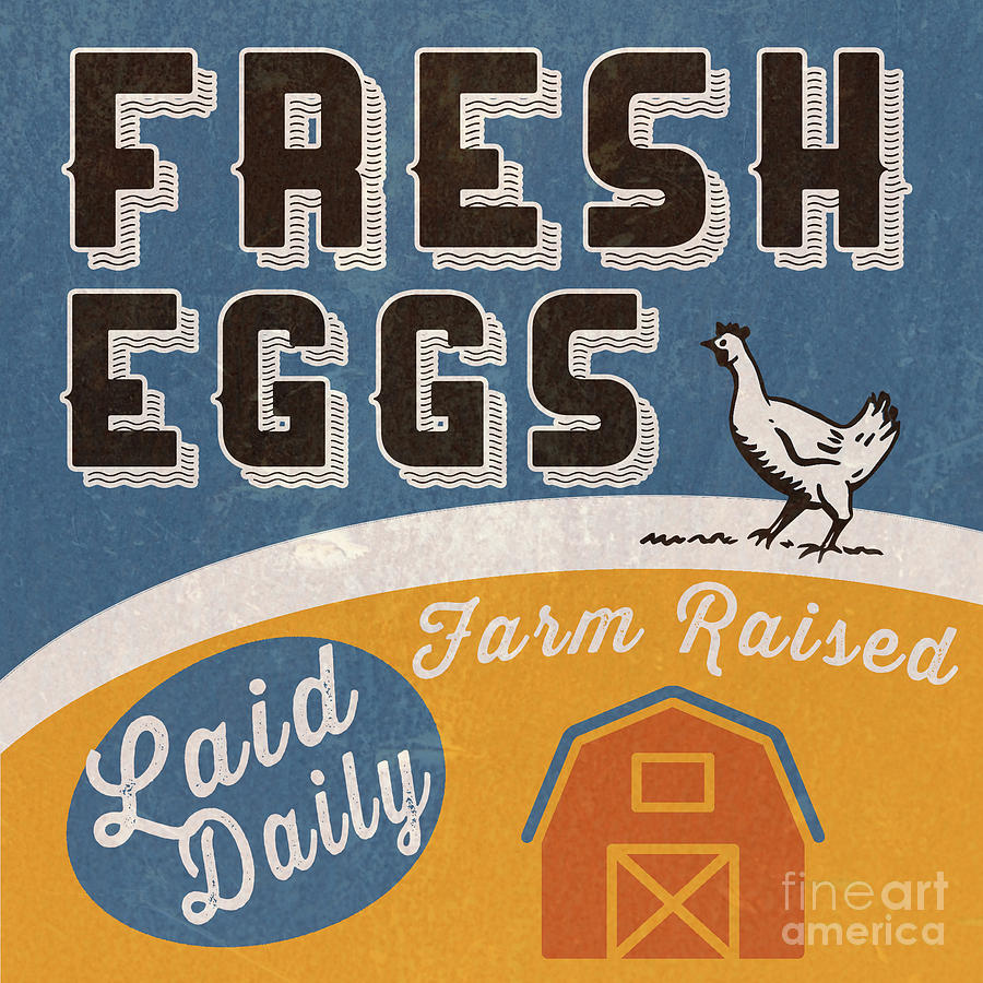 Fresh Eggs Laid Daily Retro Farm Sign Mixed Media by Edward Fielding
