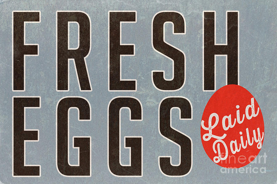 Fresh Eggs Laid Daily Vintage Farm Decor Photograph by Edward Fielding
