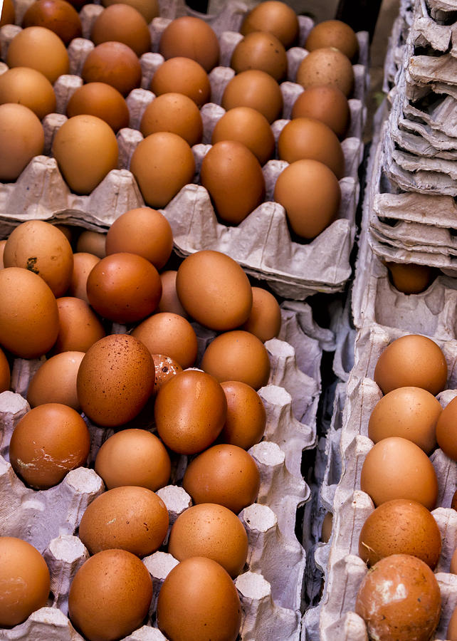 Chicken Photograph - Fresh Eggs by Lindley Johnson