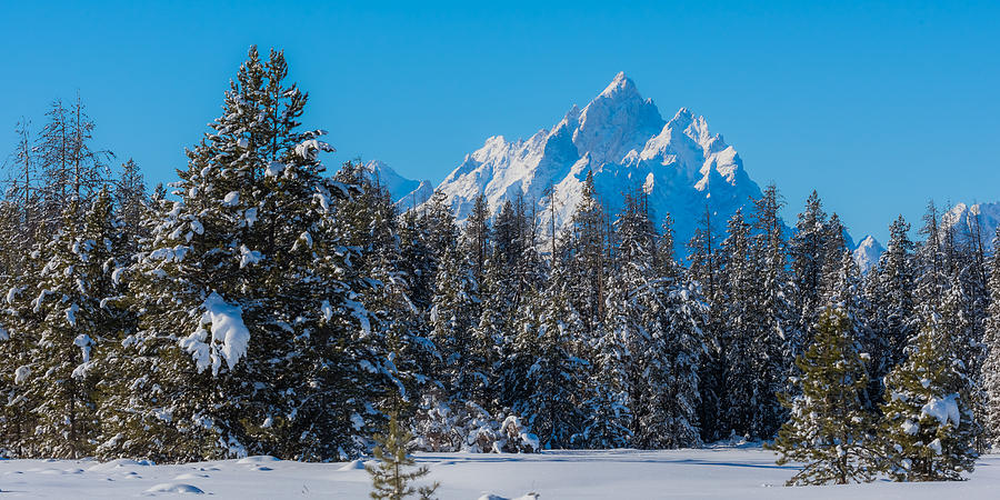 Fresh Fallen Snow On Tetons Photograph by Yeates Photography