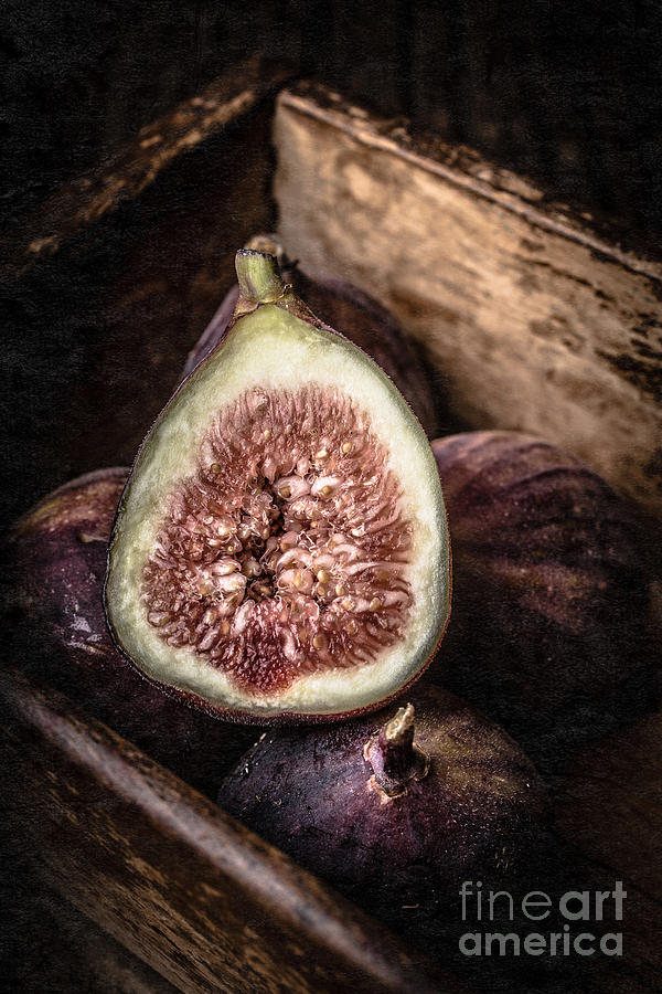 Fruit Photograph - Fresh Figs Still Life by Edward Fielding