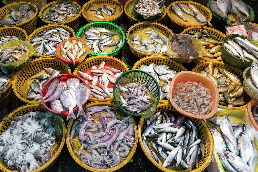 Fresh Fish And Seafood Market Stall Display In Xiamen China  Photograph by JM Travel Photography