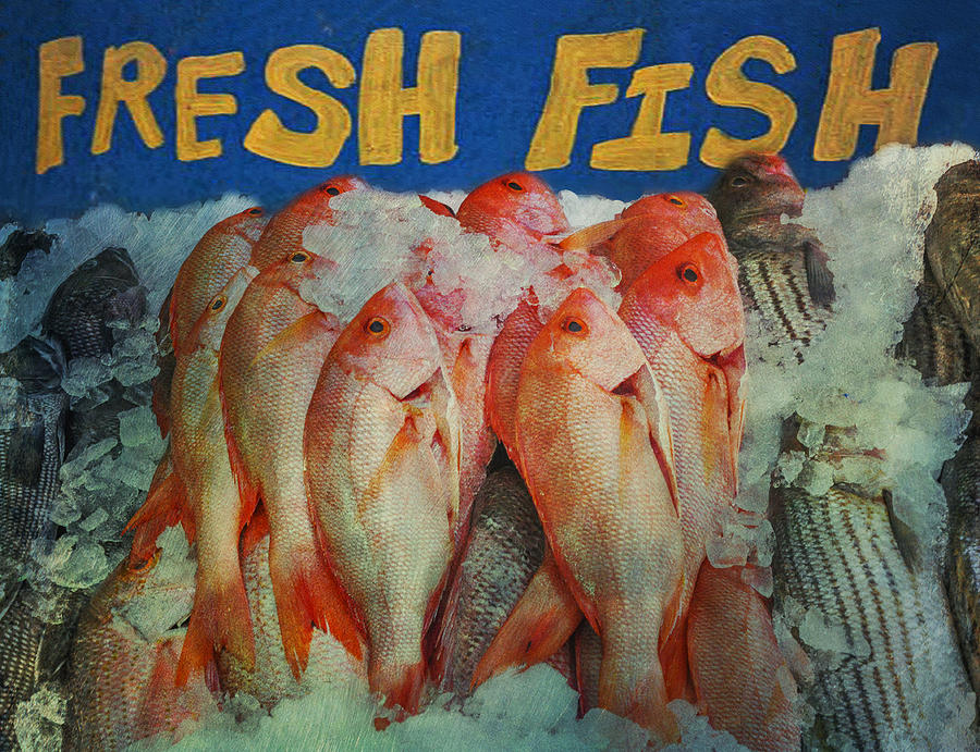 Fresh Fish Photograph by Bill Cannon