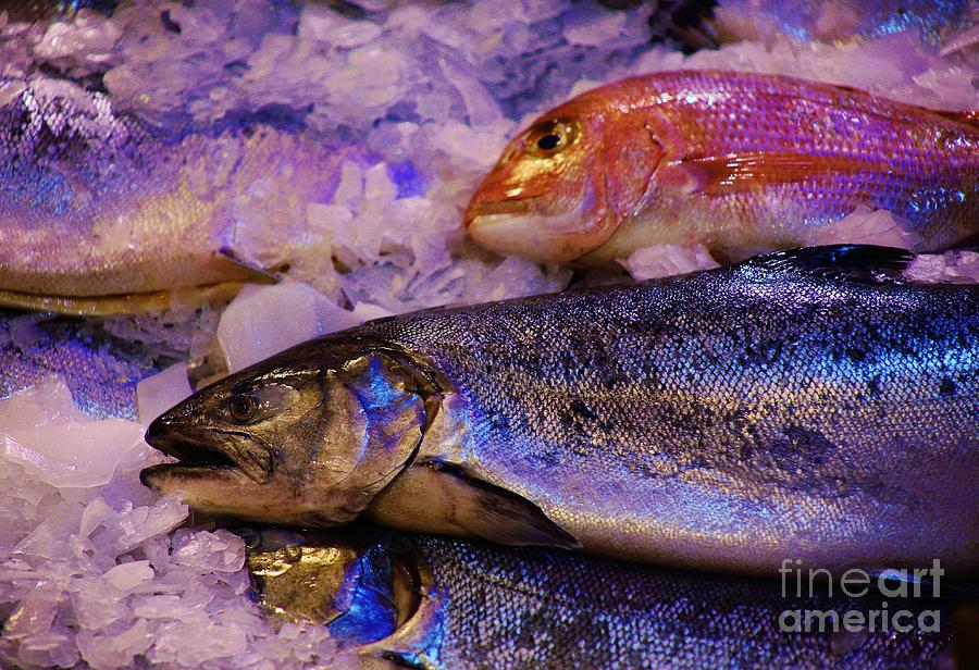 Fresh Fish Photograph by Craig Wood